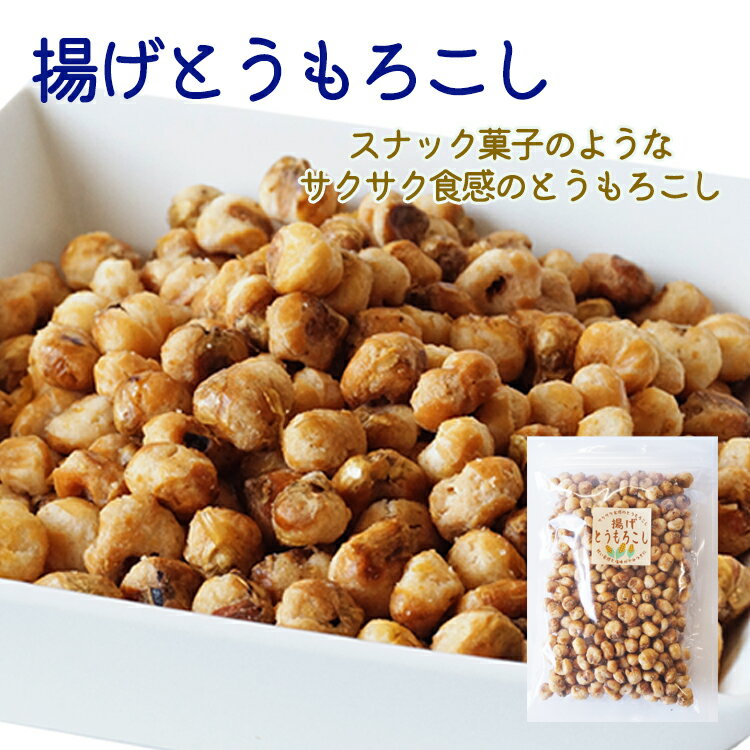 揚げとうもろこし 140g 1kg 2kg(1kg×2袋) 5kg(1kg×5袋) 中国産 【送料無料】 揚げコーン フライドコーン おやつ おつまみ 酒 ビール 塩味 サクサク 大容量 業務用