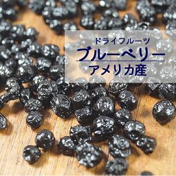 【送料無料】ブルーベリー 25g 1kg 2kg(1kg×2袋) アメリカ産※ドライフルーツ 健康 美容 おやつ 間食 朝食 製菓 製パン