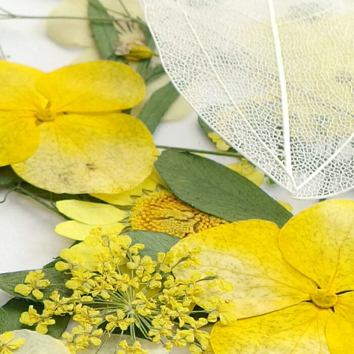 押し花セット イエロー系
