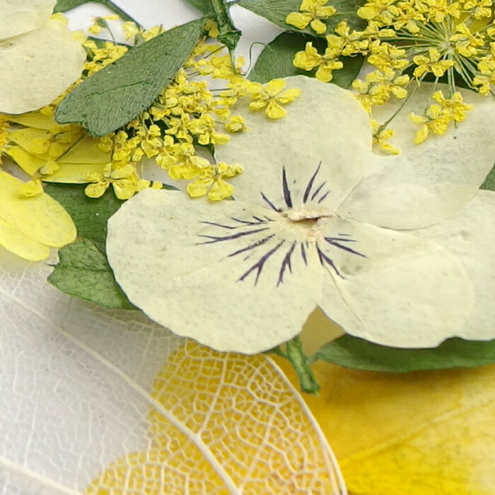 押し花セット イエロー系