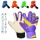 キーパーグローブ サッカー フットサル ジュニア キッズ 子供用 ラテックスパーム 10号 ゴールキーパー 少年 練習用 トレーニング スタンダード ラテックスパーム 子ども 練習 試合用 大人用 サッカー ゴールキーパーグローブ