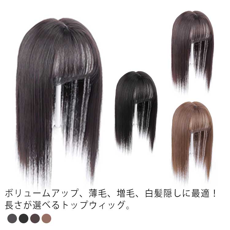 ウィッグ 部分ウィッグ 前髪ウィッグ 人工毛 トップカバー ヘアピース かつら ポイントウィッグ 白髪隠し 薄毛対策 増毛 セミロング シ..