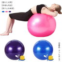 バランスボール 直径 55cm 65cm 75cm フットポンプ付き 空気入れ 耐荷重200kg 送料無料 アンチバースト 椅子 ダイエット器具 ピラティス ヨ...