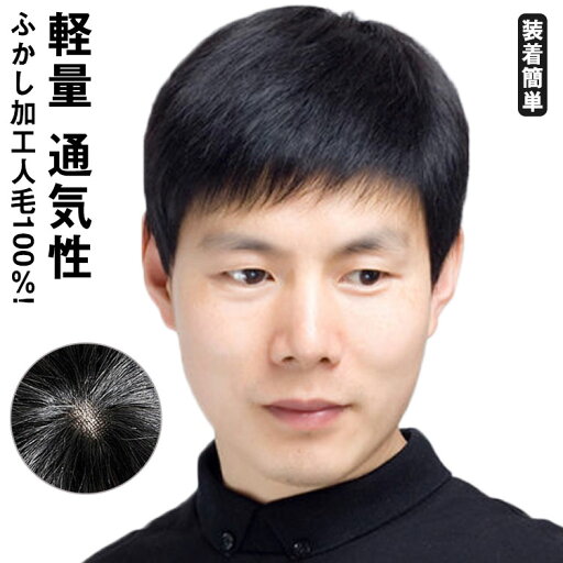 人毛 自然 ウイッグ 人毛100%! フルウィッグ メンズ ナチュラル ショート ビジネス用 ウイッグ 白髪隠し カツラ 黒髪 短髪 医療用 かつら ボリュームアップ 普段使い 軽量 通気性 ヘアスタイリング ネット付き 装着簡単 男性 人毛 自然 ウイッグ 人毛100%! フルウィッグ メンズ ナチュラル ショート ビジネス用 ウイッグ 白髪隠し カツラ 黒髪 短髪 医療用 かつら ボリュームアップ 普段使い 軽量 通気性 ヘアスタイリング ネット付き 装着簡単 男性