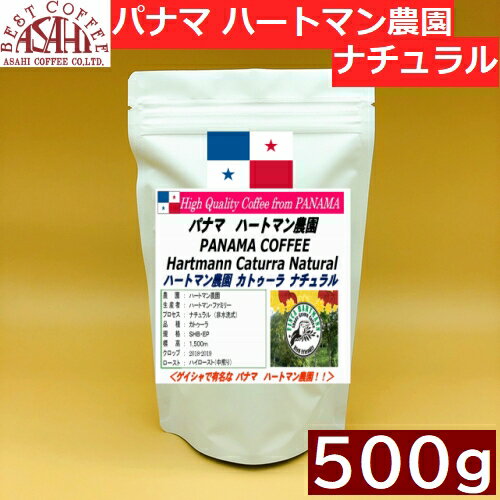 ڤѥѥå500gۥѥʥ ϡȥޥ ȥ ʥ 500g ҥҡҡ