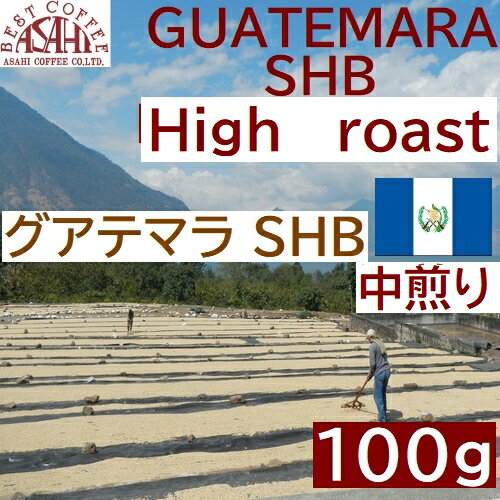 あす楽　グアテマラSHB　100g |中南米 中煎りコーヒー　ハンドドリップ　コーヒーメーカー抽出