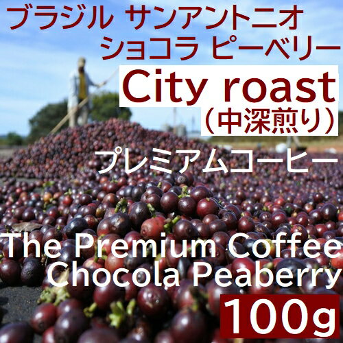 中深煎り　ブラジル サンアントニオ　 ショコラ ピーベリー 100g コーヒー豆 プレミアムコーヒー