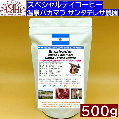 エルサルバドル温泉パカマラ サンタテレサ農園　スペシャルティコーヒー　100g｜ アサヒコーヒー　自家焙煎　旭コーヒー