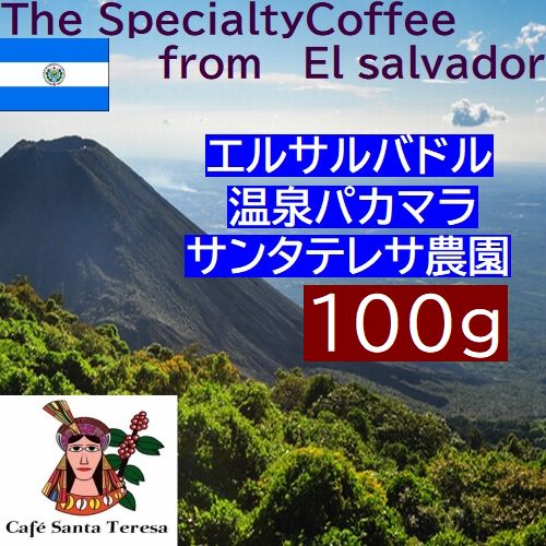 エルサルバドル温泉パカマラ サンタテレサ農園　スペシャルティコーヒー　100g｜ アサヒコーヒー　自家焙煎　旭コーヒー