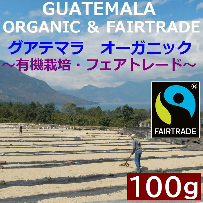 あす楽 グアテマラ 有機JASオーガニック　フェアトレード　チョフスニル 100g |organic 旭珈琲 旭コーヒー アサヒコーヒー 無農薬 美味しい