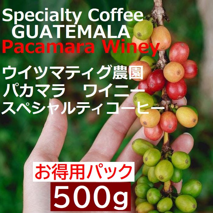 スペシャルティコーヒー　グアテマラ ウイツマティグ農園　パカマラ　ワイニー 500g |シングルオリジン　コーヒー豆