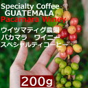 スペシャルティコーヒー グアテマラ ウイツマティグ農園 パカマラ ワイニー 200g |シングルオリジン コーヒー豆