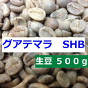 生豆　グアテマラ　SHB　500g｜ アサヒコーヒー　自家焙煎　旭コーヒ