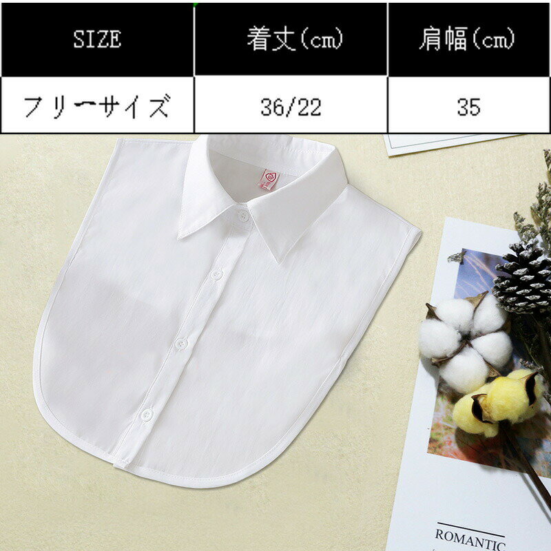 付け襟 つけ襟 レディース メンズ 角襟タイプ カラー豊富 立ち襟 個性的 シャツ風 シャツ襟 重ね着 ショート丈 レイヤード 小物 アクセサリー トップス お出かけ 通勤 通学 送料無料