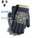 一部即納 手袋 メンズ 春 秋 冬 ニット 手ぶくろ 防寒 保温 防風 優しいフィット感 実用的 ゾート ストレスフリー 肌荒れ 手の乾燥 お出かけ 普段使い ...