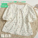 ?伐?磨芝?Ε?レディース 花柄 半袖シャツ レース襟 パフスリーブ トップス 可愛い ショート丈 細身 プリント 夏服 カジュアル きれいめ おしゃれ 送料無...