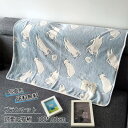 ブランケット 100*150cm 夏用毛布 肩掛け 膝掛け タオルケット 可愛い猫柄 寝具 冷房対策 シングル もこもこ ふわふわ サマー 冬 きれいめ おしゃれ 送料無料