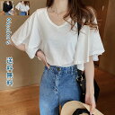 オーバーTシャツ Tシャツ ドルマンスリーブ 半袖 カットソー 夏 無地 大きいサイズ ゆったり オーバーサイズ 体型カバー カジュアル レディース 女性 韓国風 通勤 OL オフィス おしゃれ きれいめ 送料無料