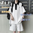 上下セット POLOシャツ ショートパンツ メンズ セットアップ 2点セット スポーツ 半袖 ルームウェア 夏服 運動会 大きいサイズ スポーツウェア トレーニ...