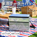クーラーバッグ ソフトタイプ [折りたたみ 保冷バッグ アルミ ソフト コンパクト 小さめ 大きめ 大容量 アウトドア 釣り お花見 行楽 ピクニック スポーツ...