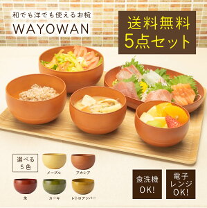 送料無料 食器 5点セット WAYOWAN [食器セット 食洗機対応 電子レンジ対応 割れない 丈夫 汁椀 お椀 茶碗 どんぶり プレート オーバルプレート 樹脂製 セット 和風 洋風 北欧 水切り おしゃれ ギフト プレゼント 日本製 アサヒ興洋]