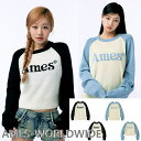 AMES-WORLDWIDE (アメスワールドワイド) 韓国人気 ベーシックラグランプルオーバーニット 4色展開 トレンド おしゃれ ユニセックス 高品質 着心...