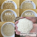 広島県産 ミルキークイーン 玄米 15kg 令和5年産 お米 もちもち 美味しい 出荷直前精米 つきたて米 ぶづき米 白米 新鮮米 送料無料 厳選お買い得 3