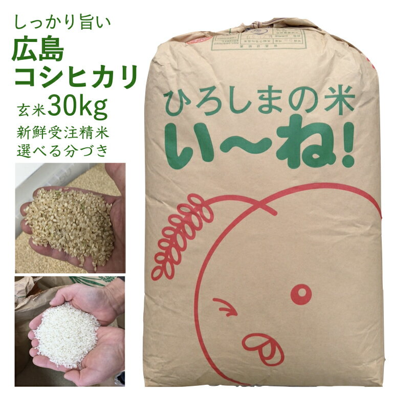 広島県産 コシヒカリ 令和5年産 玄米 30kg お米 美味しい 出荷直前精米 つきたて米 ぶづき米 白米 新鮮米 送料無料