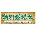 販促品 パネルボード 稲穂 特別栽培米×1枚