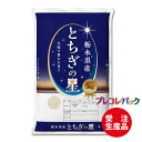 米袋 和紙　受注生産（プレコレパック） 栃木県産とちぎの星　1kg・2kg・5kg