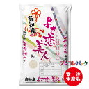 米袋 和紙　受注生産（プレコレパック）高知県産よさ恋美人　1kg・2kg・5kg