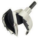 【ポイント5倍 6/4 20:00〜6/11 01:59まで】SK11 木工用ボアビット 65mm 藤原産業 fwsg(4)