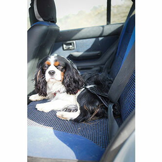 犬用 シートベルト EZDOG イージードッグ カーシートアタッチメント