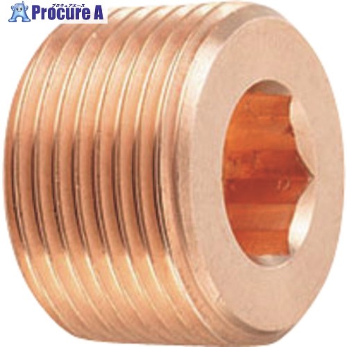 KAKUDAI 砲金豆プラグ 616-805-20 1個 ■▼199-9418【代引決済不可】【送料都度見積】