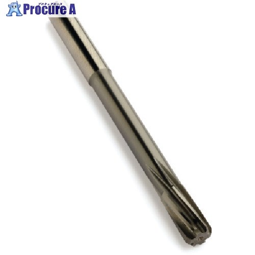 SANDVIK コロリーマ(725) H10F 435.T-1100-A1-XF H10F (725) 1本 ■▼561-5747 【送料都度見積】 ●KO521