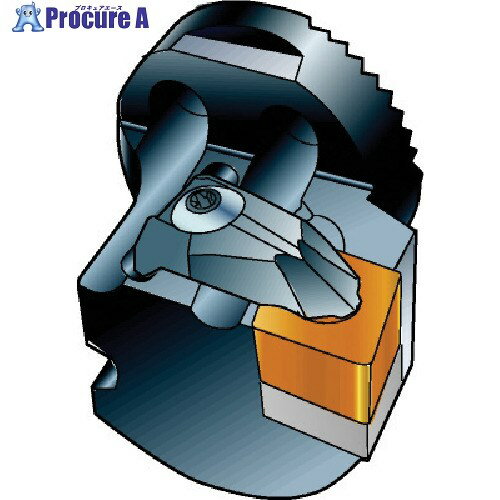 SANDVIK コロターンSL コロターンRC用カッティングヘッド(410) 570-DCLNL-80-16 (410) 1個 ■▼563-2579 【送料都度見積】 ●KO521