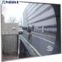 ユニット 壁用平面ワイドミラー 接着式 869-93 1縛 ■▼854-8138