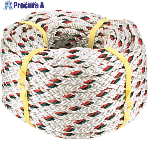 DENSAN テトロンロープ10×100 DPR-100 1個 ■▼111-3099【代引決済不可】