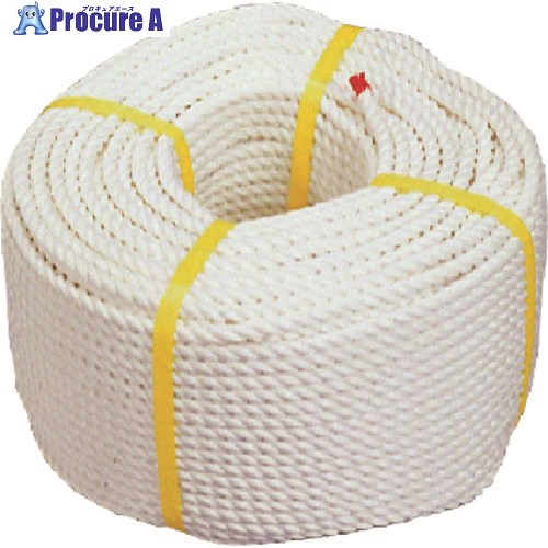 DENSAN クレモナSロープ8×200 DPK-0852 1個 ■▼111-4825【代引決済不可】