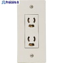 マサル エムケーダクト付属品 ダクトコンセント 2号 2個用抜止め接地 ホワイト DCA232 1個 ■▼130-0263 【送料都度見積】