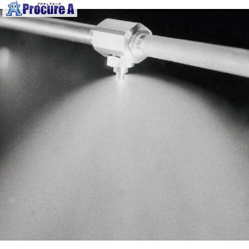 いけうち 微霧発生2流体ノズル 小噴量充円錐 BIMJシリーズ(液加圧タイプ) BIMJ2022S303.NS303 1個 ■▼15..