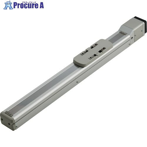 CKD 電動アクチュエータ スライダタイプ EKS-04LE-100900NNN-P1NCB 1個 ■▼224-6615【代引決済不可】