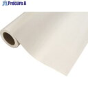 中川ケミカル カッティングシート720MパウダーホダイトM450mm×12M CS045720MR 1本 ■▼424-9478【代引決済不可】【送料都度見積】