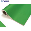 中川ケミカル カッティングシート423メイグリーン1010mm×20m CS1010423F 1巻 ■▼424-9957【代引決済不可】【送料都度見積】