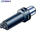 SANDVIK コロマントキャプト コロターンSLボーリングバイト(410) C4-570-2C 40 053 (410) 1個 ■▼566-8735 【送料都度見積】 ●KO521(4)