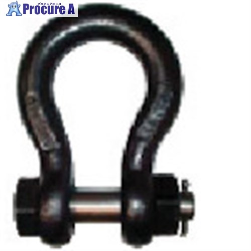 TAIYO JISシャックル M級 黒 BB-75(1007632) BB75 1個 ■▼851-6395 ※個人宅様送り不可