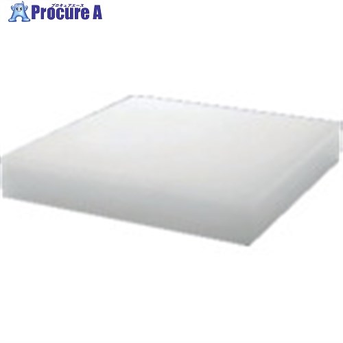 タキロン PPプレート TSグレード 10T×500×1000 白 TP-PP-PLATE-P370-10-500-1000 1枚 ■▼124-3585 【送料都度見積】※個人宅様送り不可