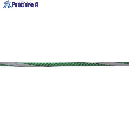 ニッサチェイン 反射緑ビニコート鉄ワイヤー 200m巻 R-IY60V-GN 1巻 ■▼128-0376 【送料都度見積】