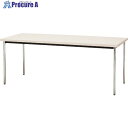 TOKIO ミーティングテーブル 丸脚 1200X600mm ホワイト TD-1260M WH 1台 ■▼145-8226 【送料都度見積】※車上渡し