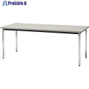 TOKIO ミーティングテーブル 角脚 1200X600mm ホワイト TD-1260K WH 1台 ■▼146-3030 【送料都度見積】※車上渡し